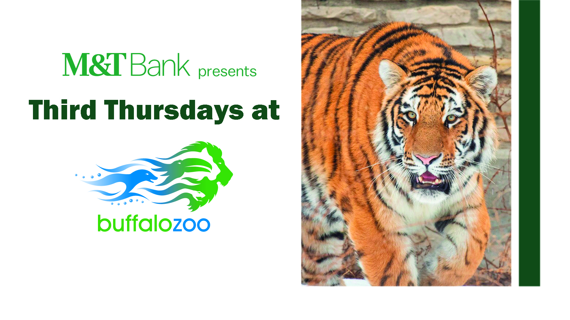 Third Thursdays at the Buffalo Zoo.